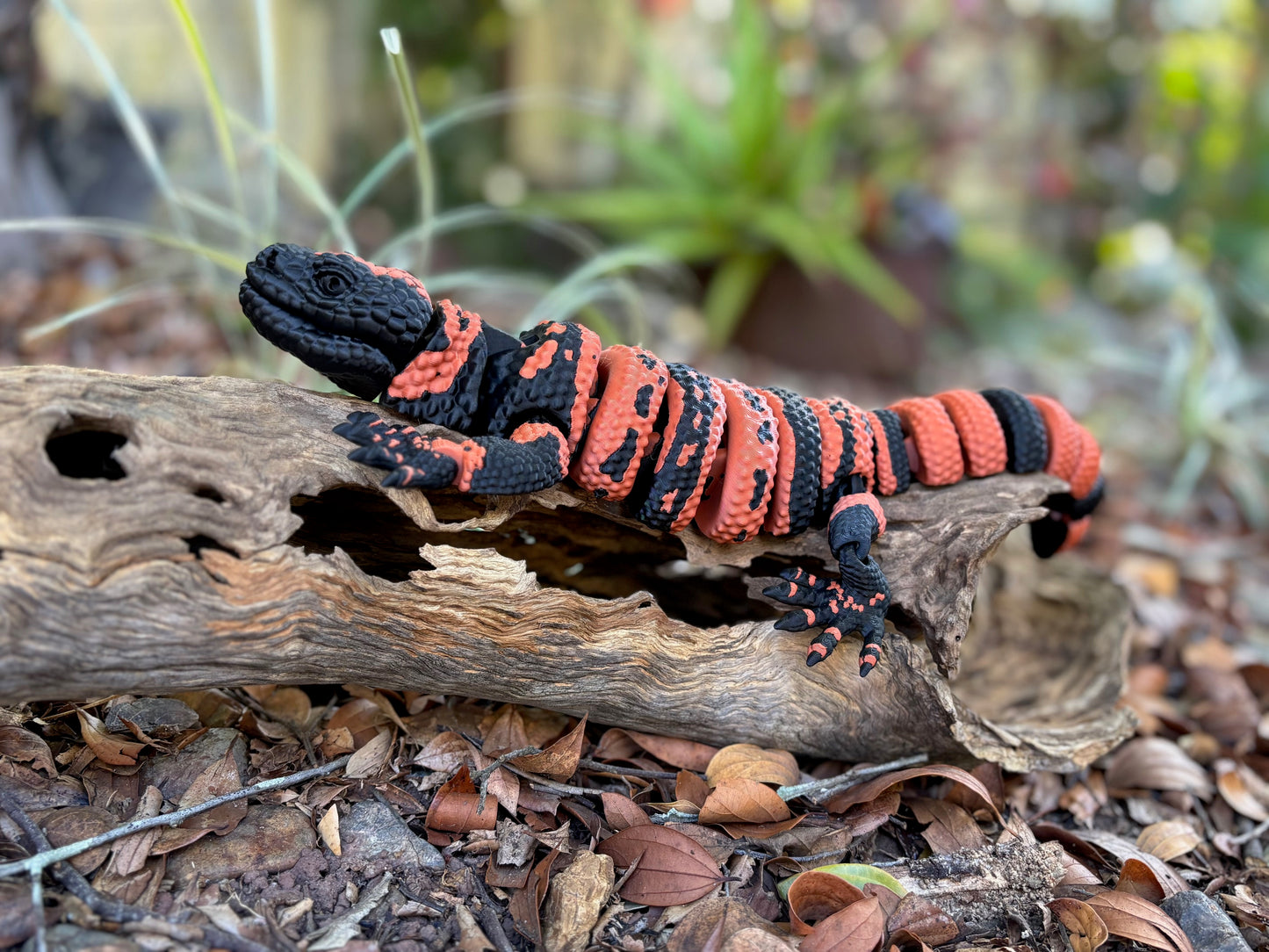 Gila Monster