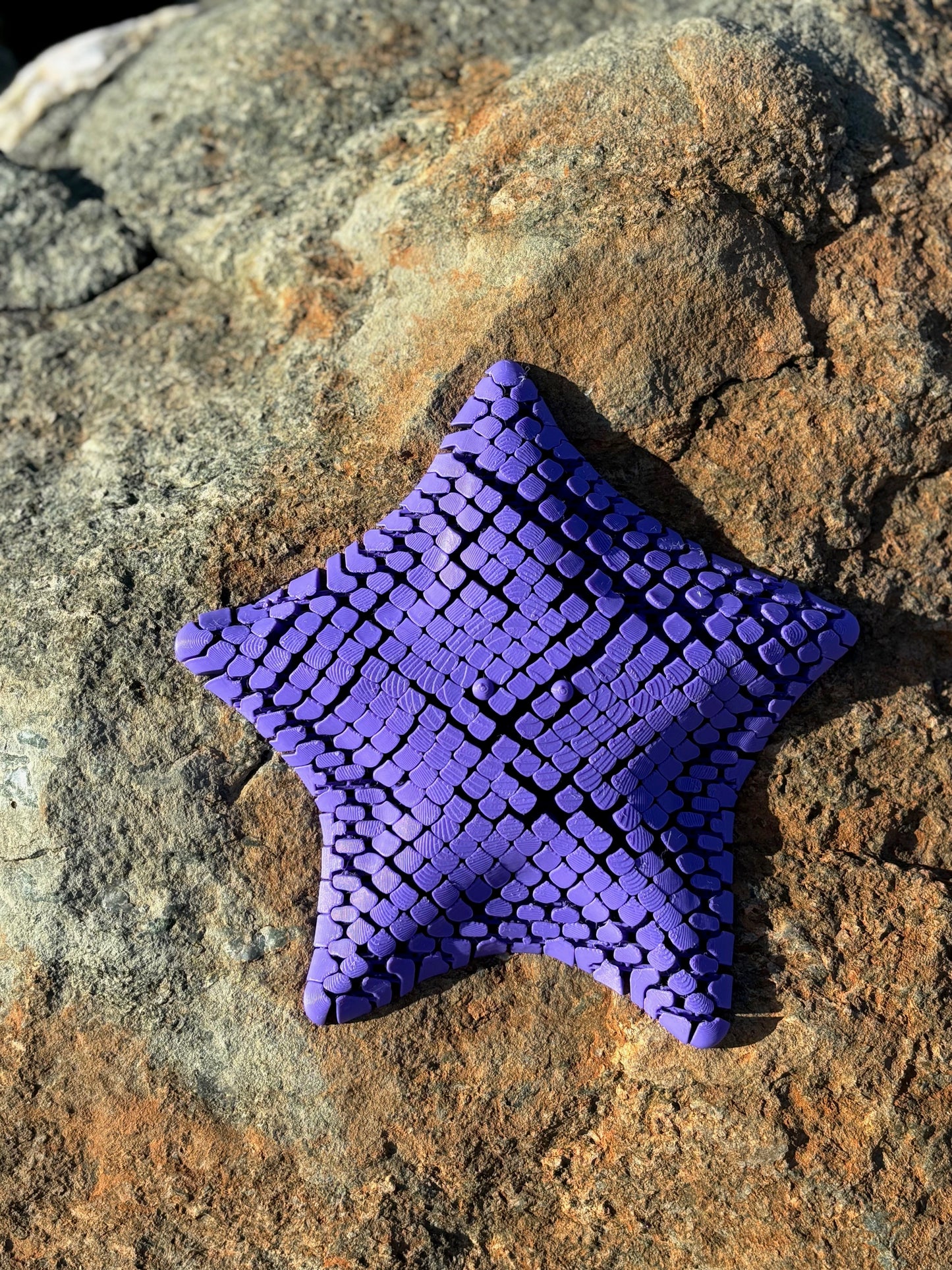 Megaflexi Starfish