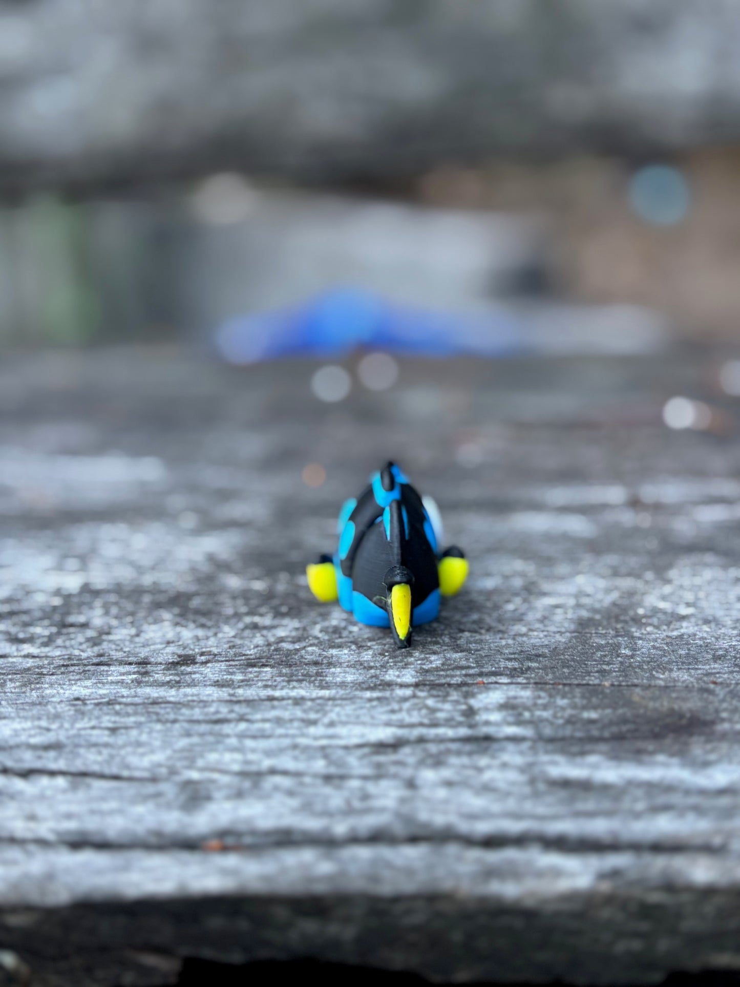 Reef Fish Pocket Buddies