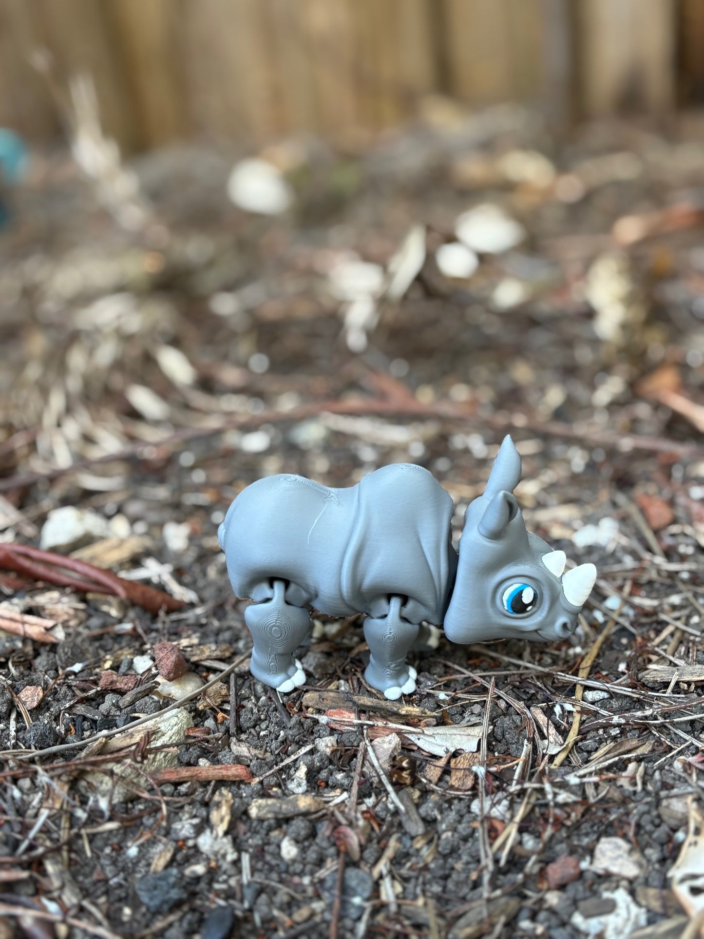 Baby Rhino