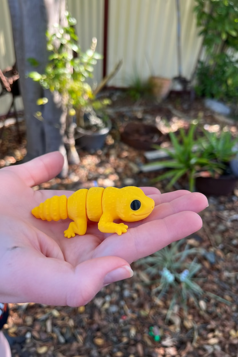 Gecko Pocket Pal