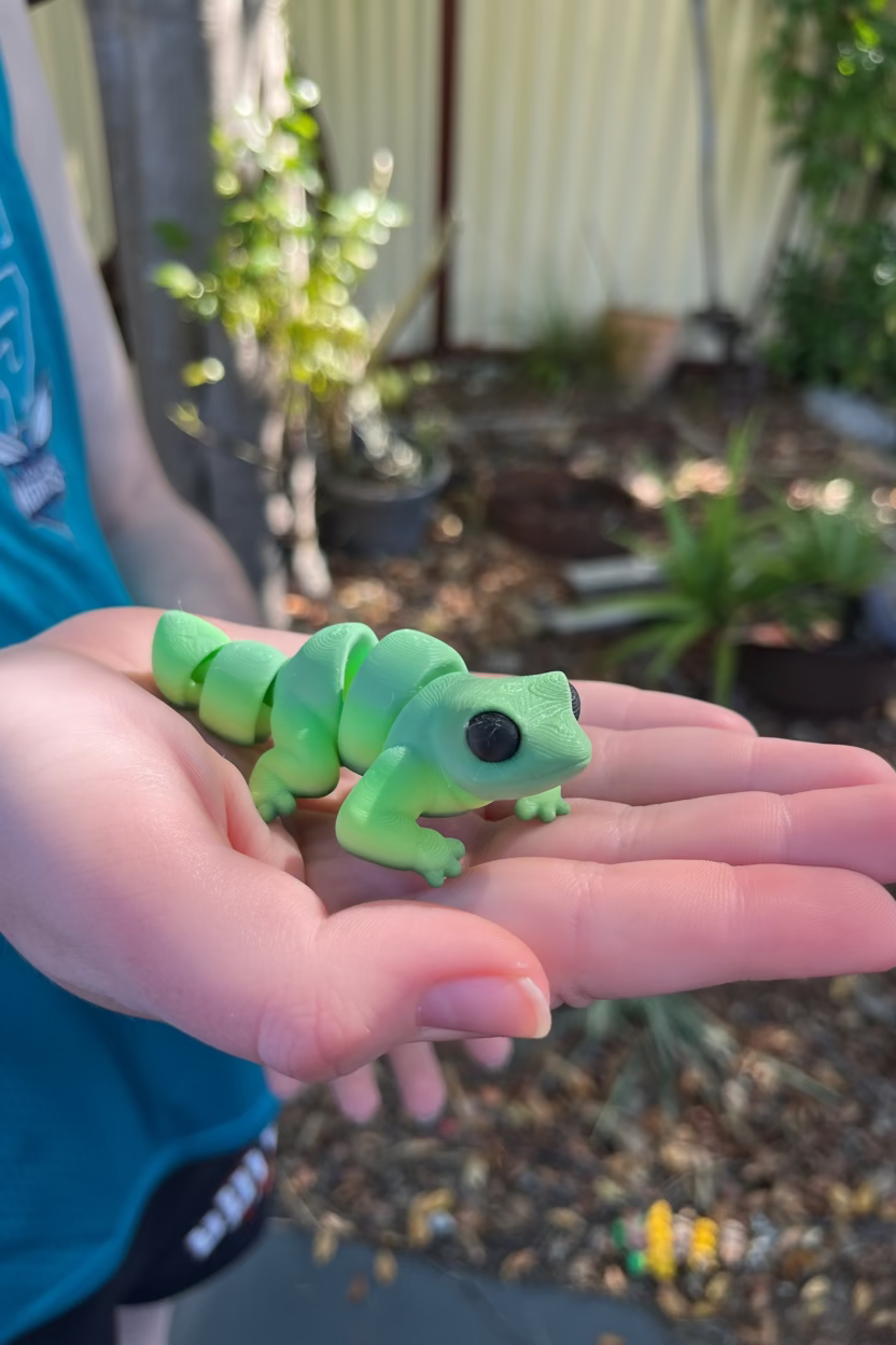 Lizard Pocket Pal