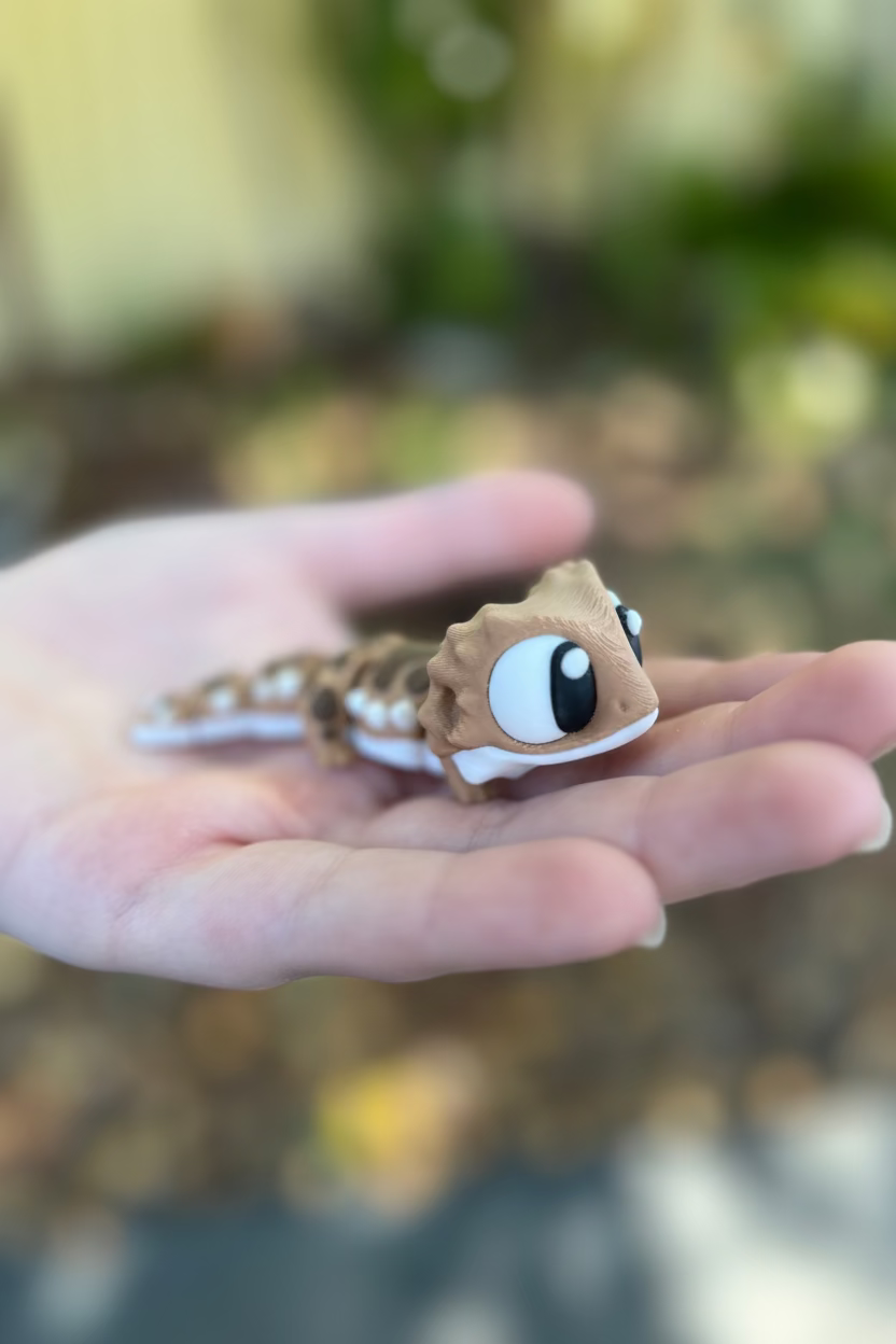 Bearded Dragon Pocket Buddies