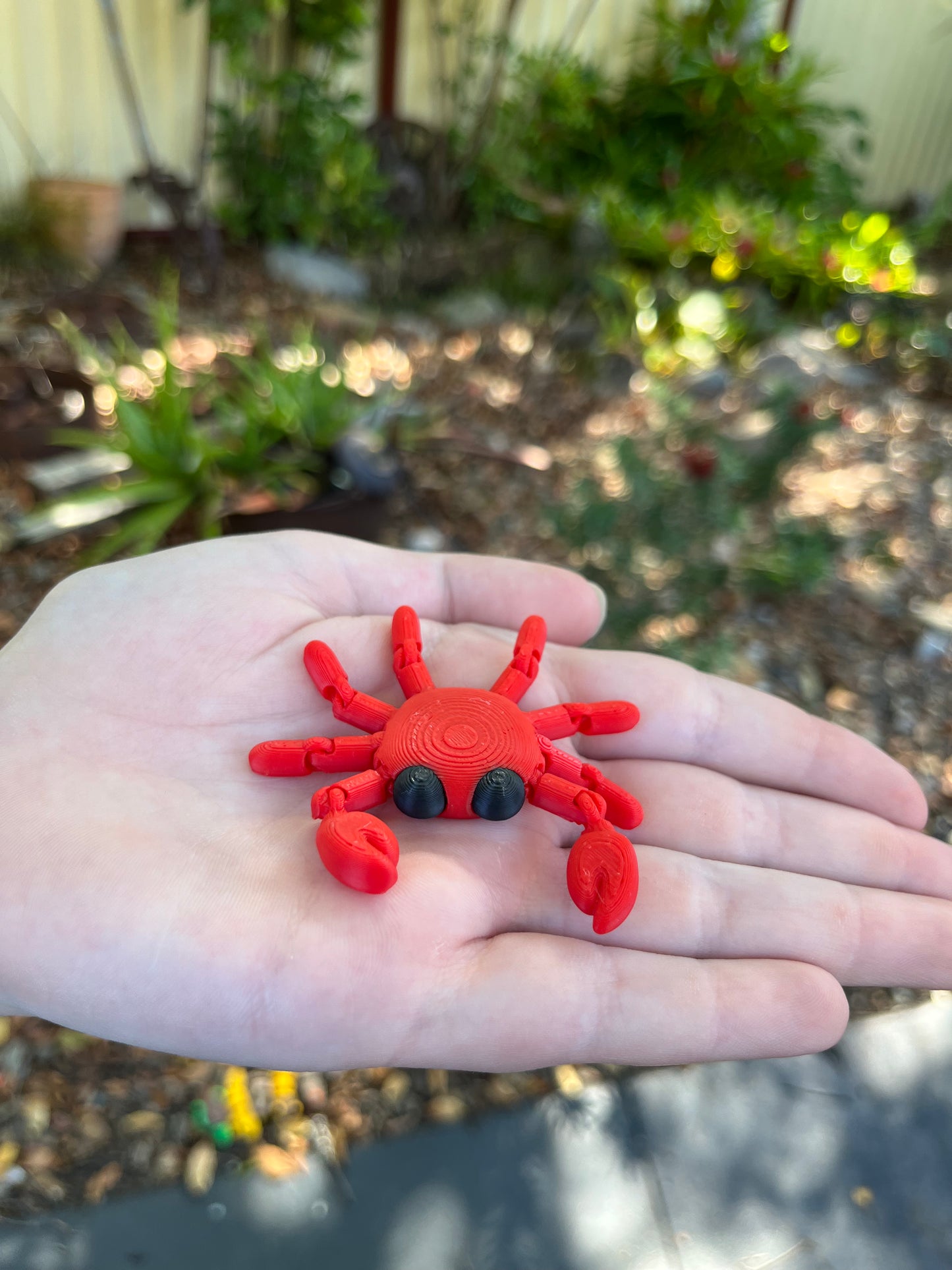 Crab Mini