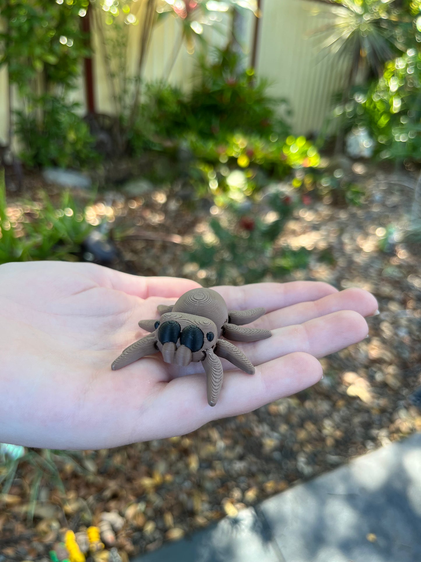 Spider Mini