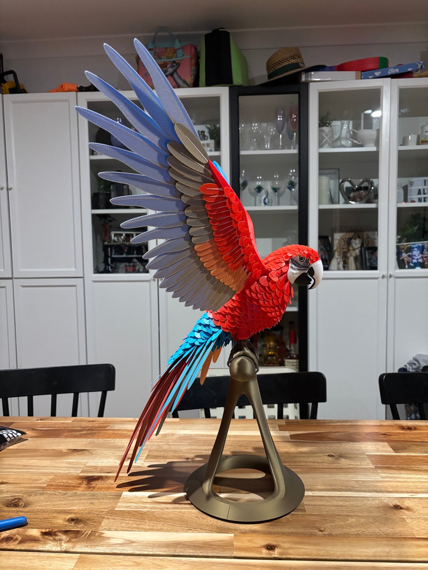 Maverick the Macaw