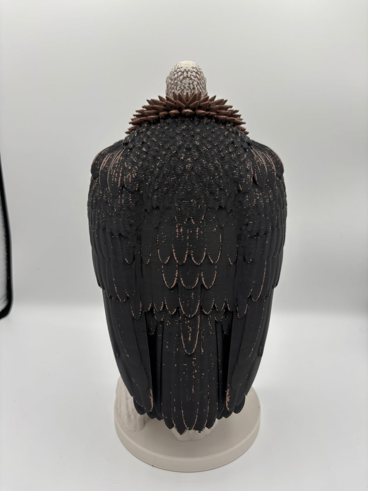 The Vulture - Large