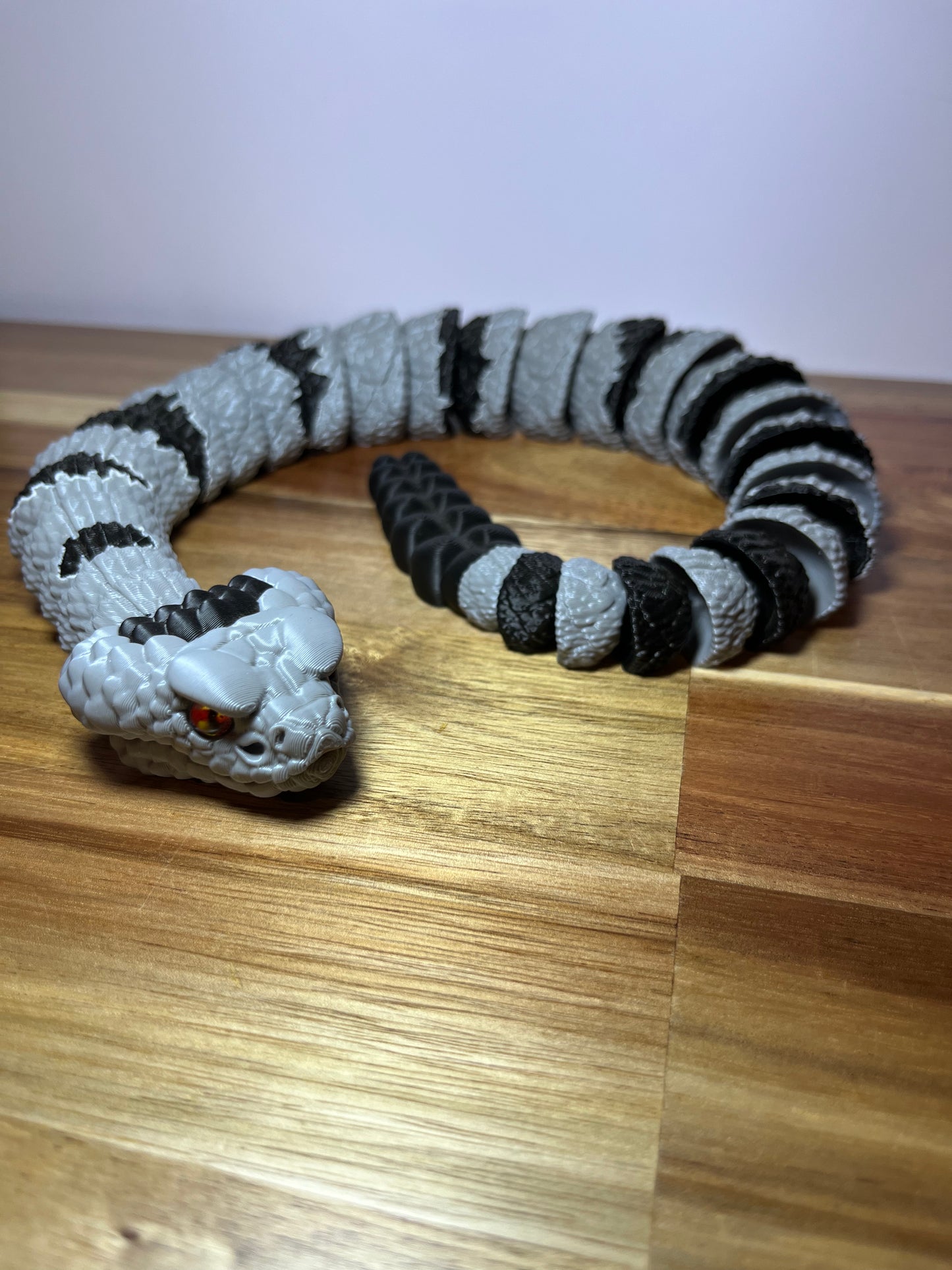 Banded Rock Rattlesnake