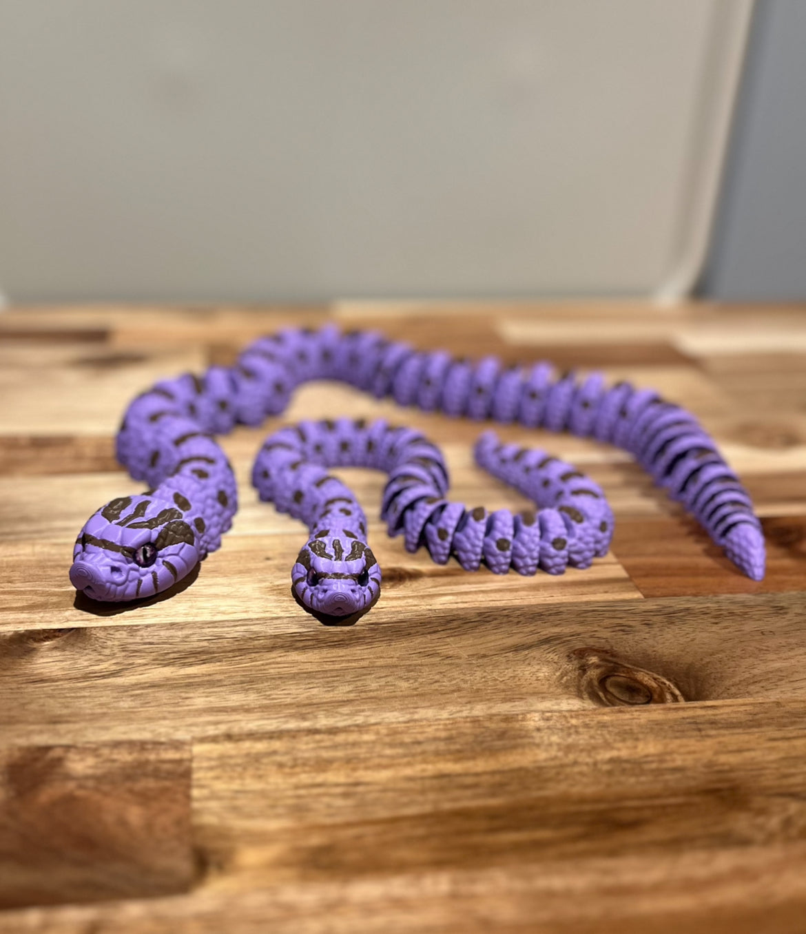 Western Hognose Snake Set