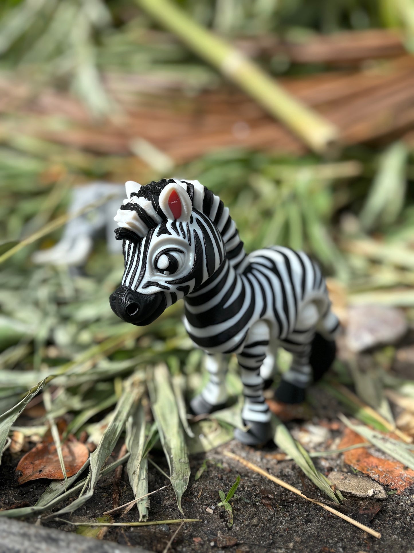 Zebra