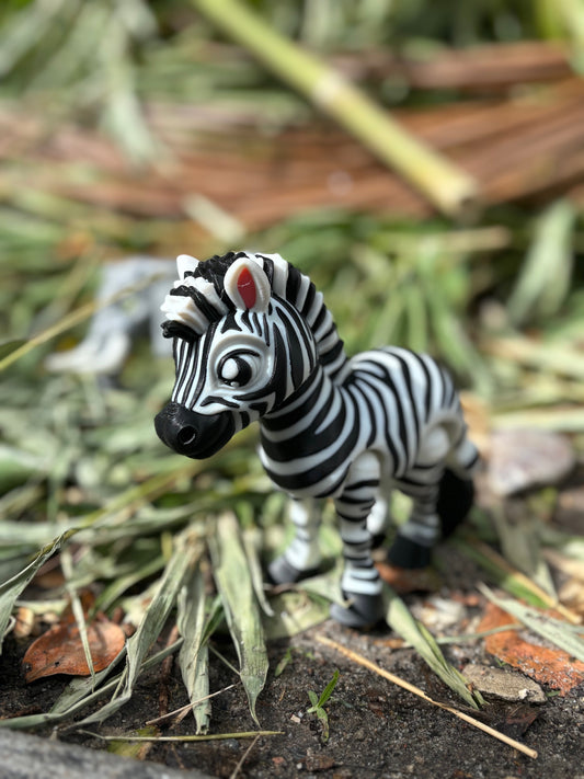 Zebra