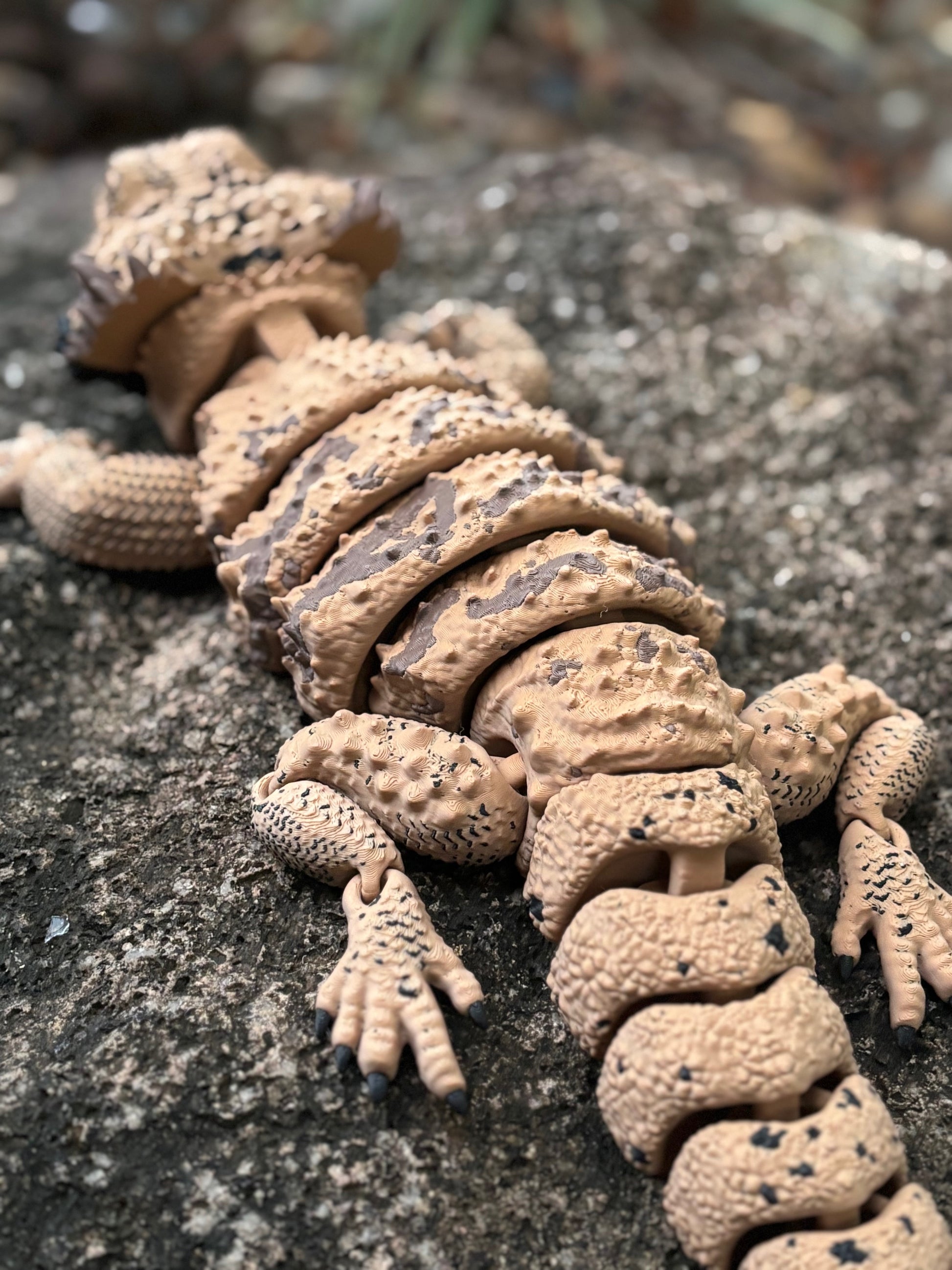 Bearded Dragon XL Cotto 3D Creations bearded-dragon-xl-cotto-3d-creations