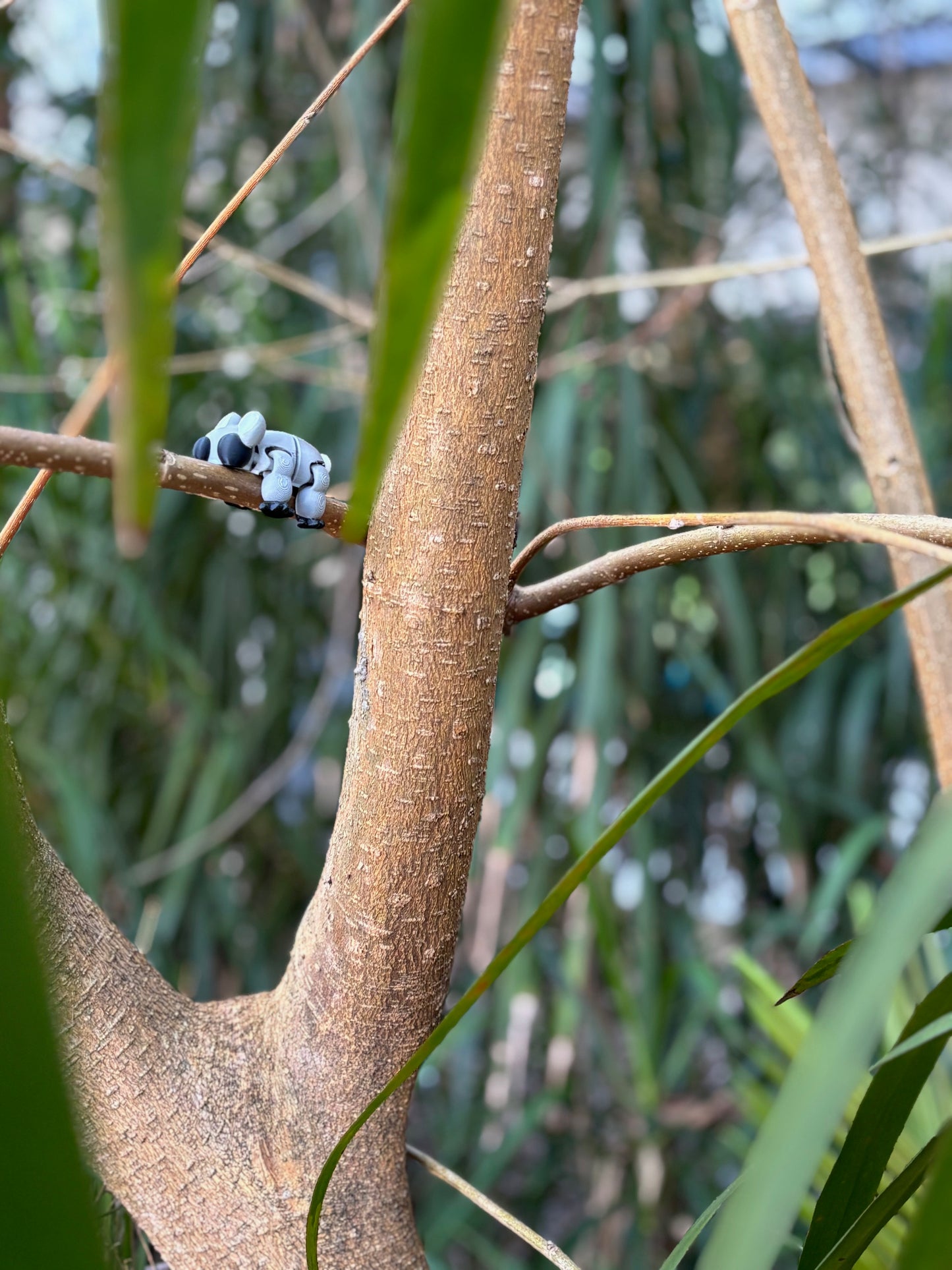 Mini Koala