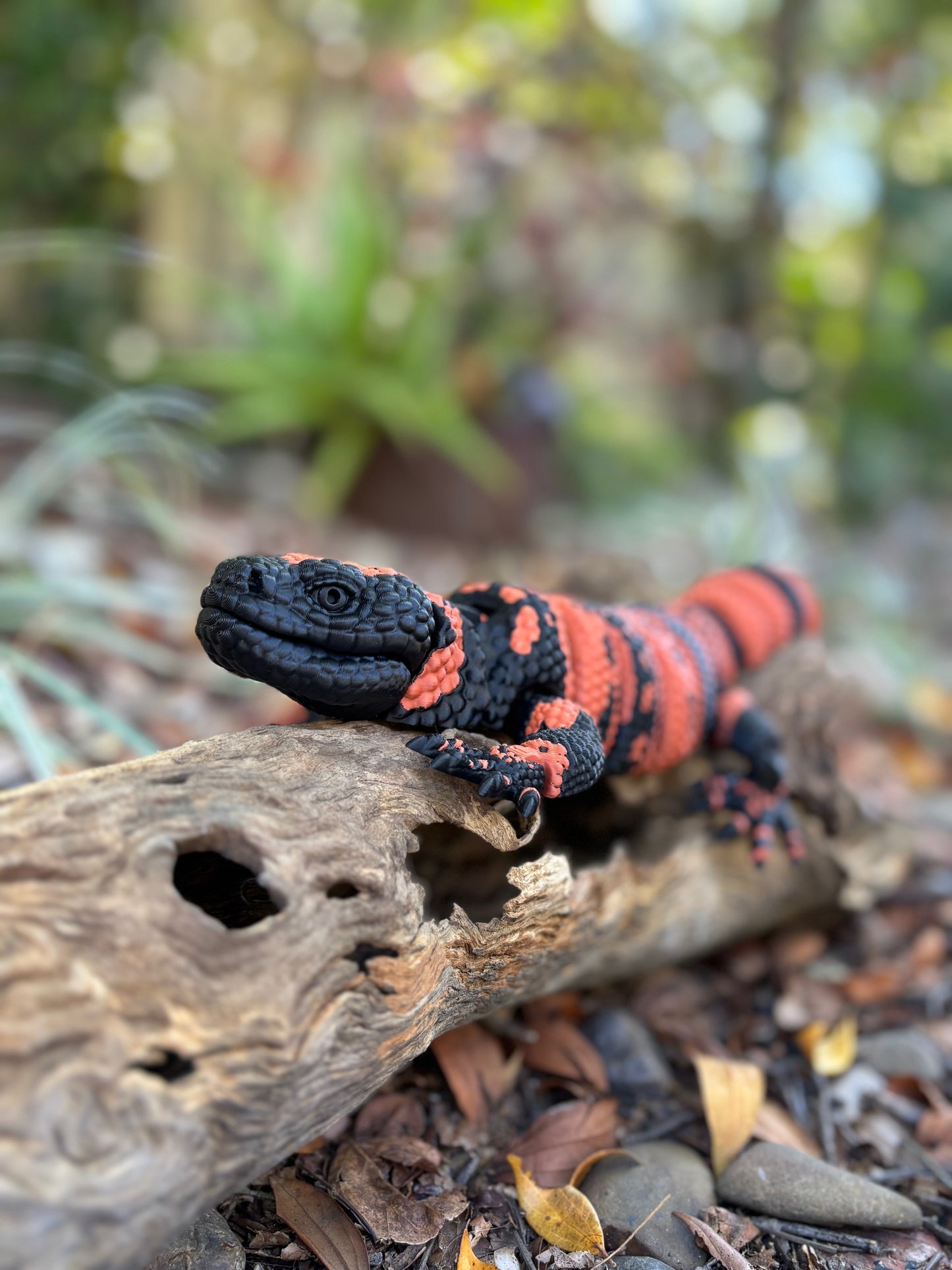 Gila Monster