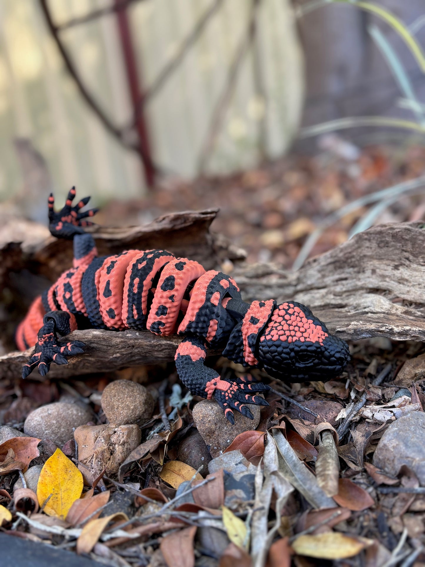 Gila Monster