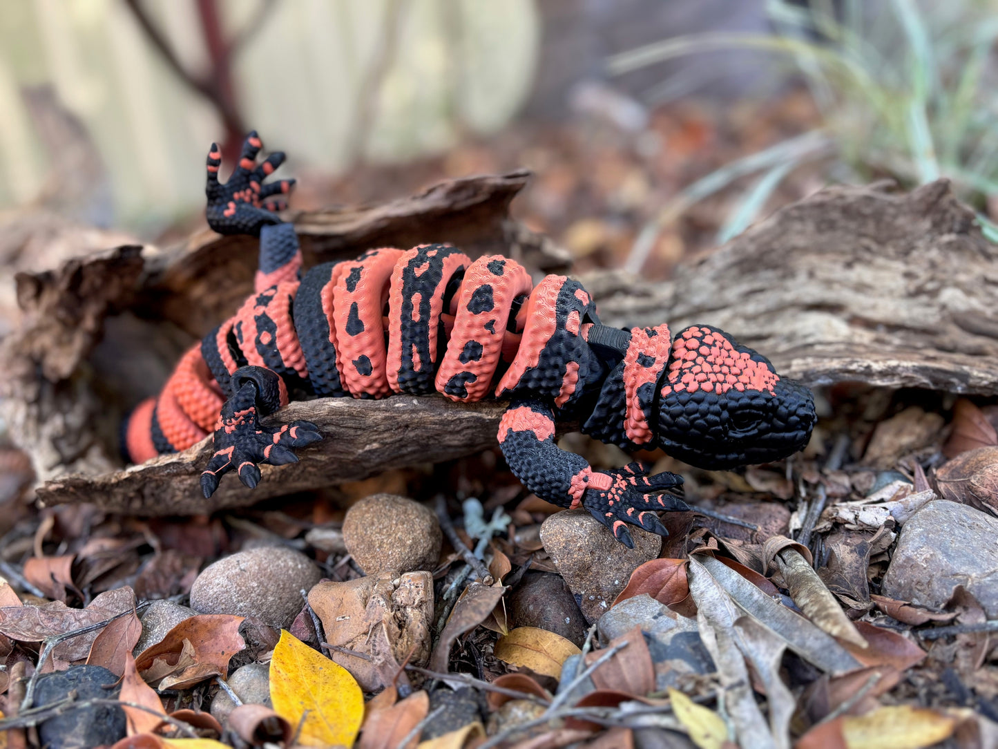 Gila Monster
