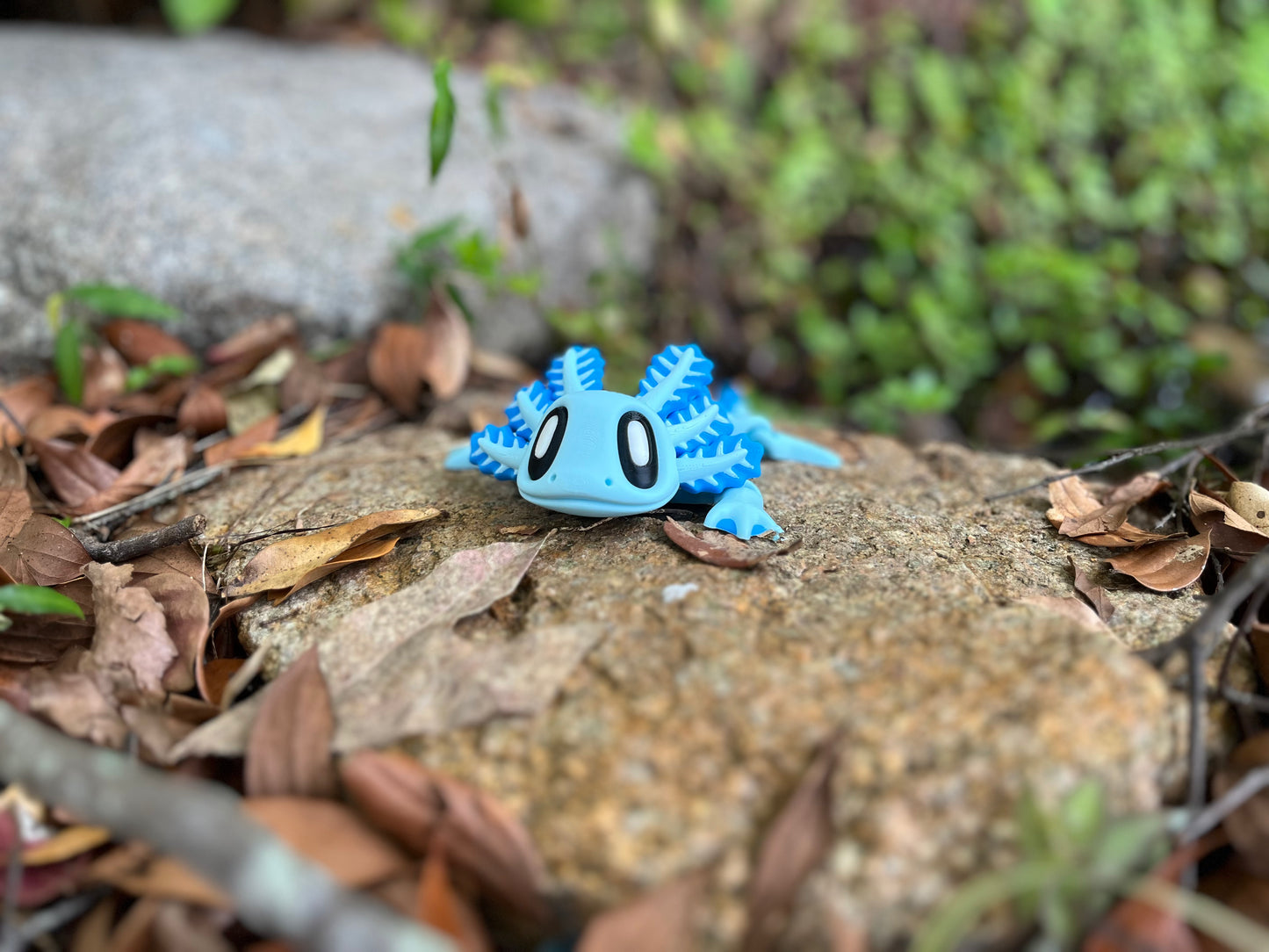 Axolotl Fridge Magnet