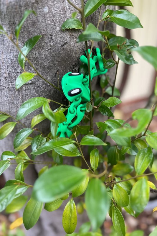 Green Tree Frog