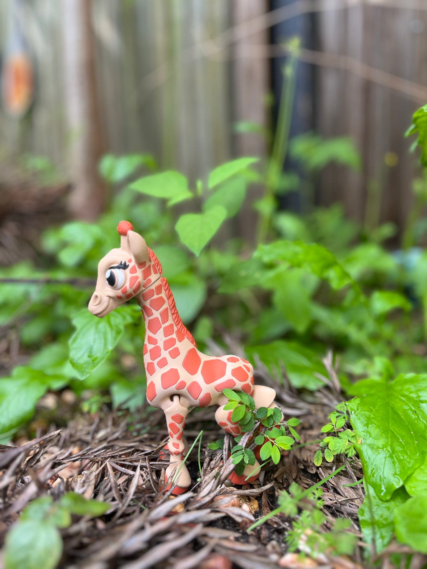 Baby Girafee