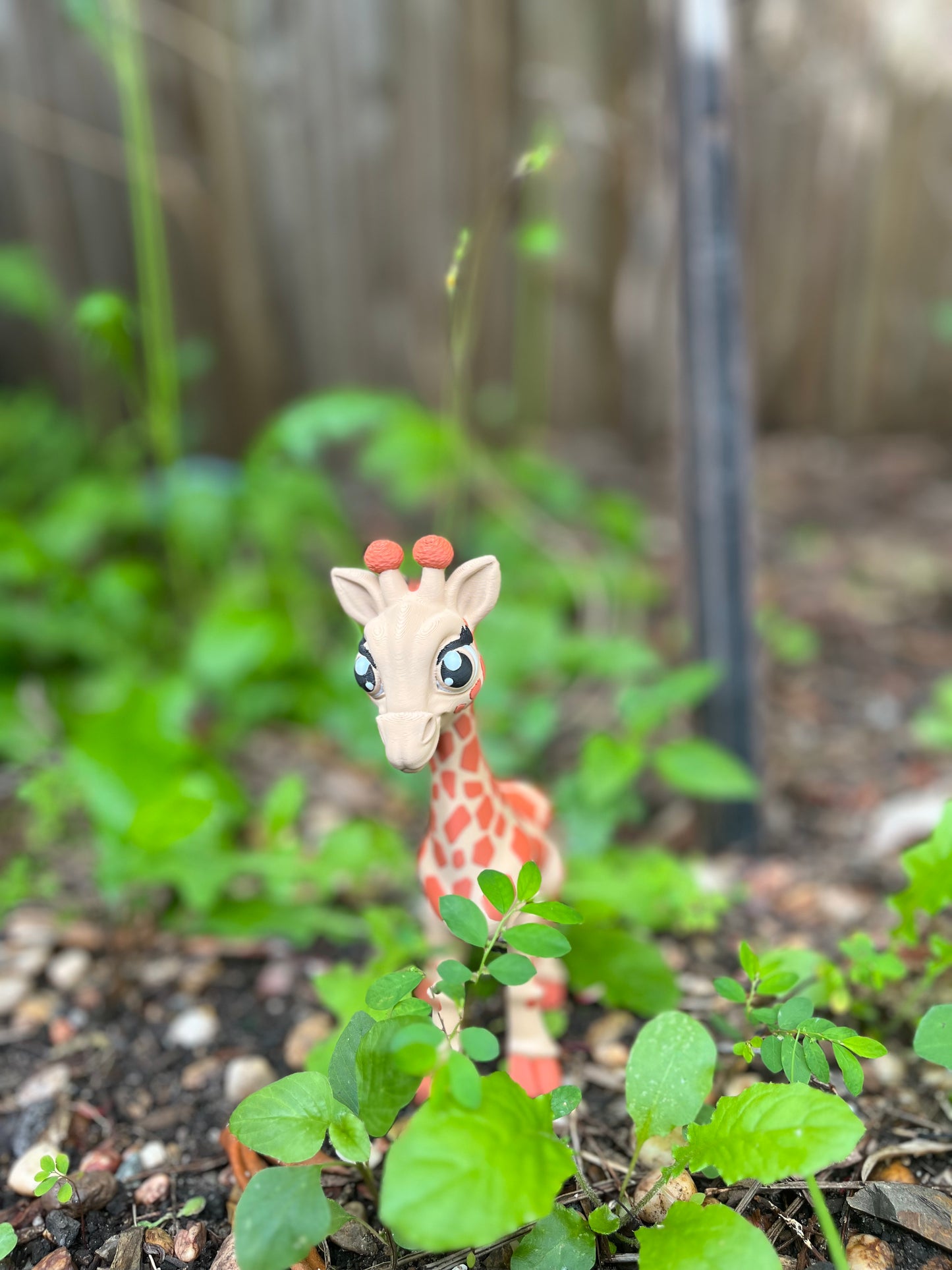 Baby Girafee