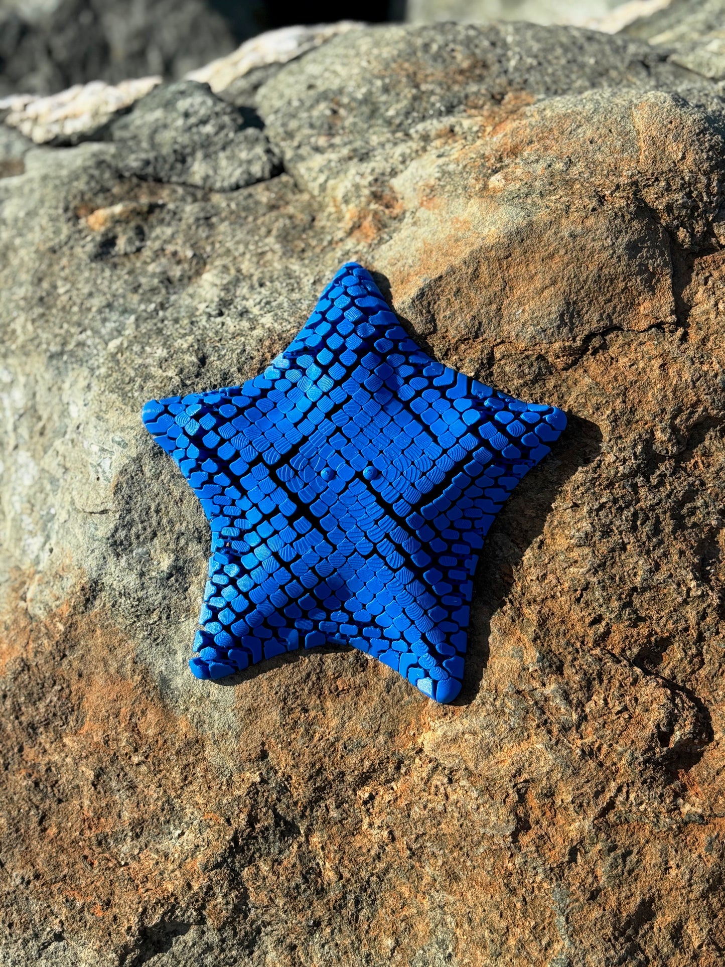 Megaflexi Starfish