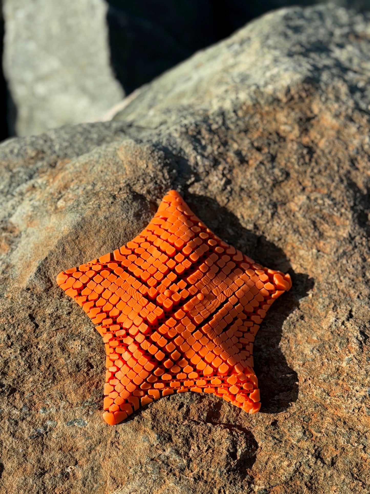 Megaflexi Starfish