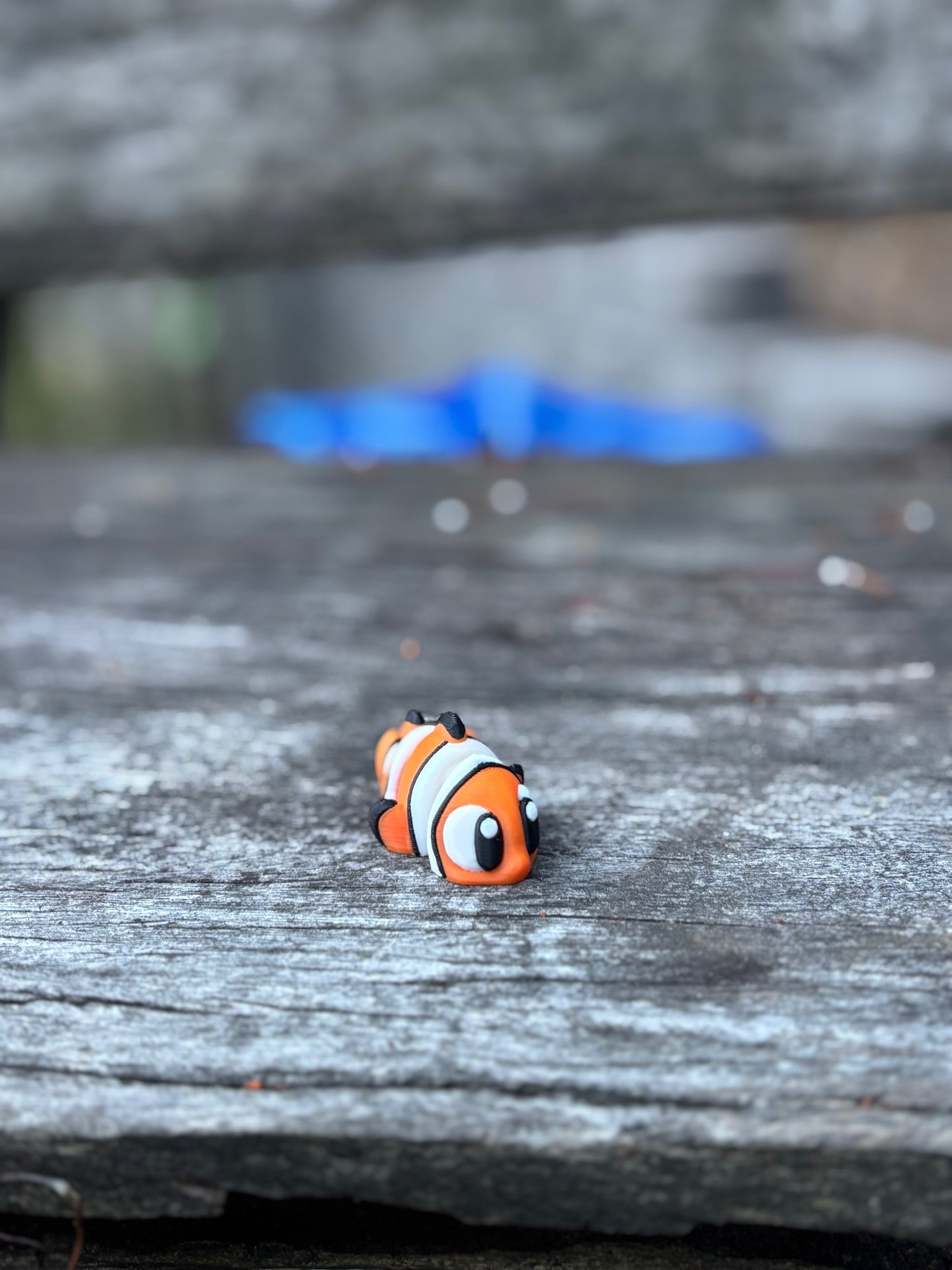 Reef Fish Pocket Buddies