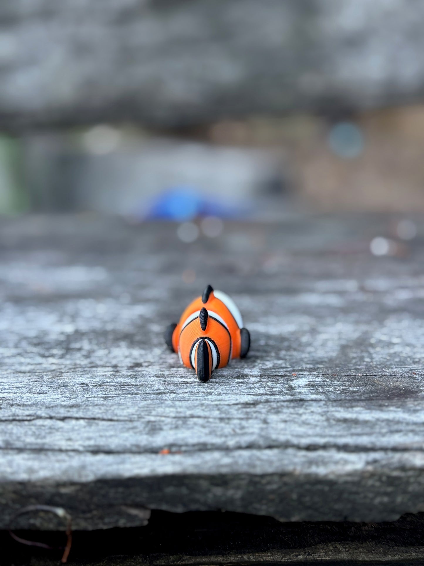 Reef Fish Pocket Buddies