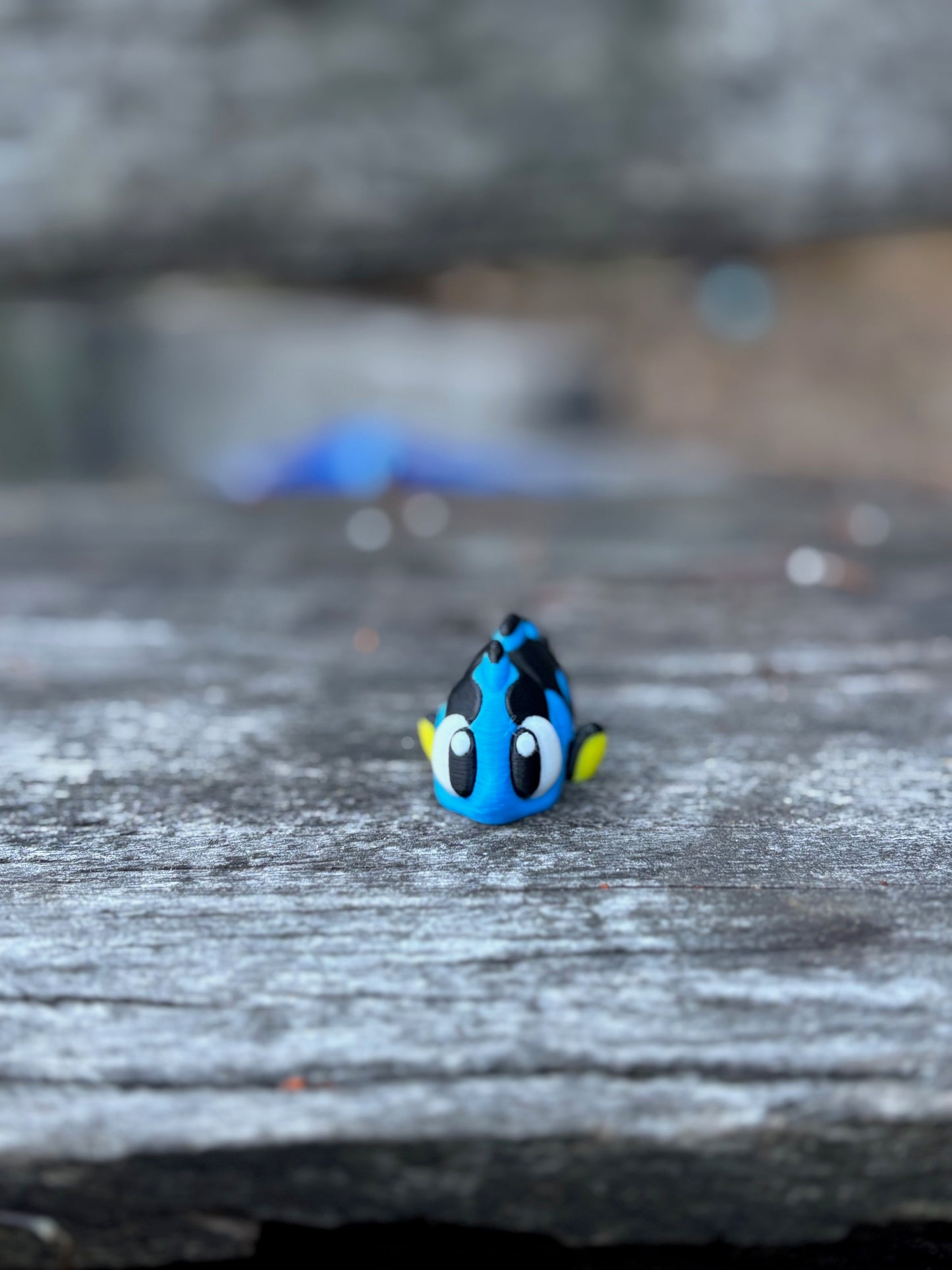 Reef Fish Pocket Buddies