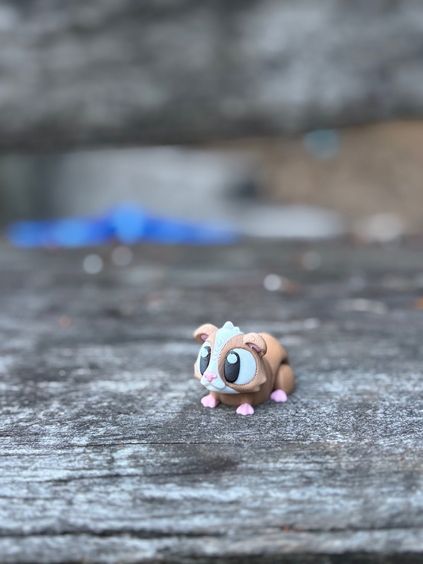 Guinea Pig Pocket Buddies