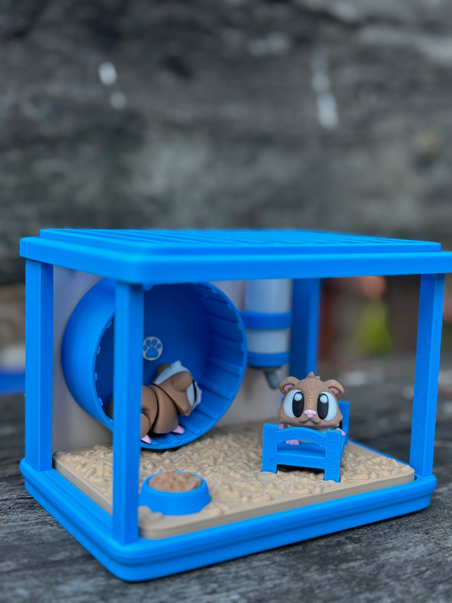 Guinea Pig Enclosure