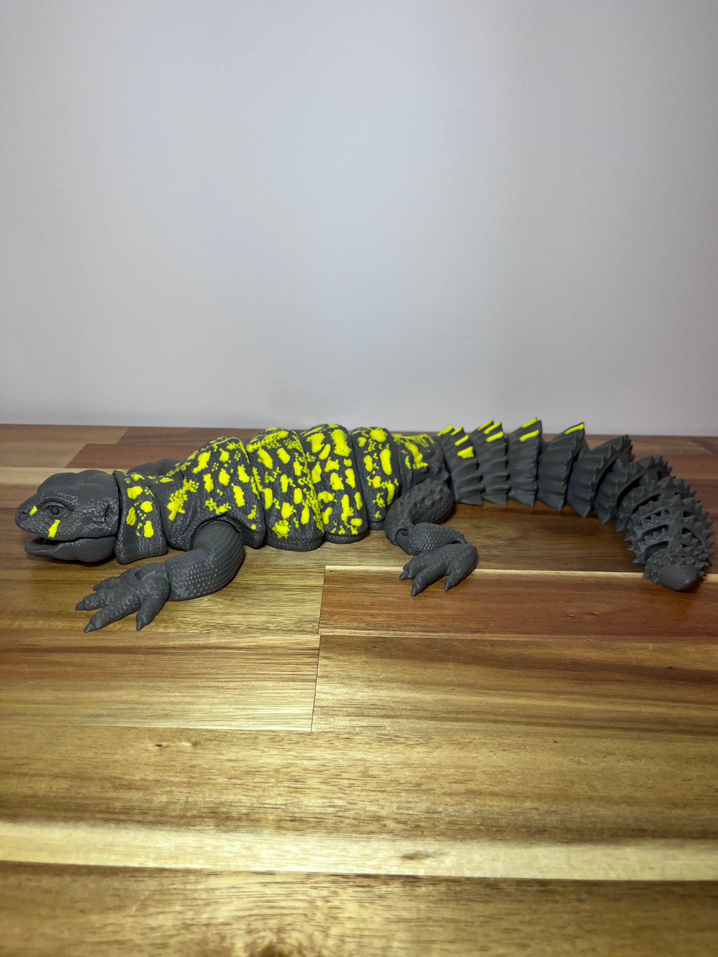 Uromastyx XL