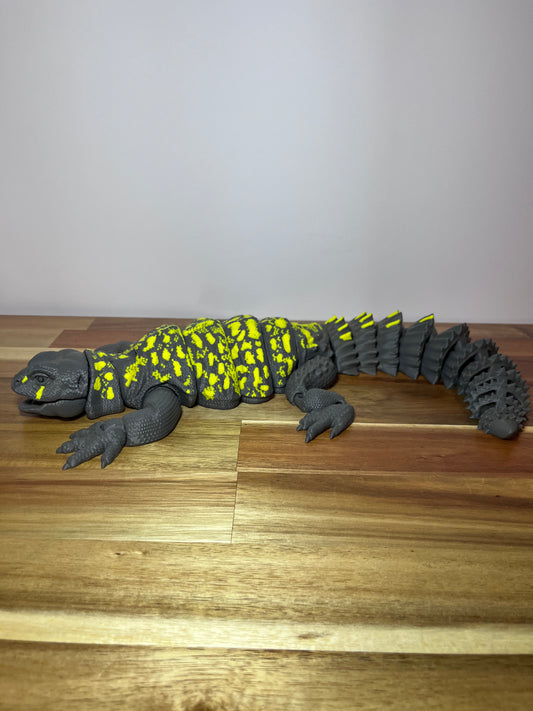 Uromastyx XL