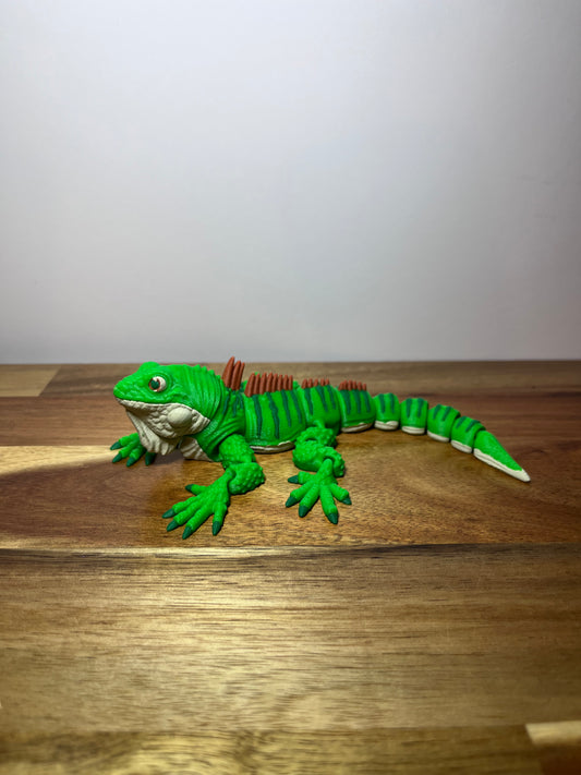Iguana Small