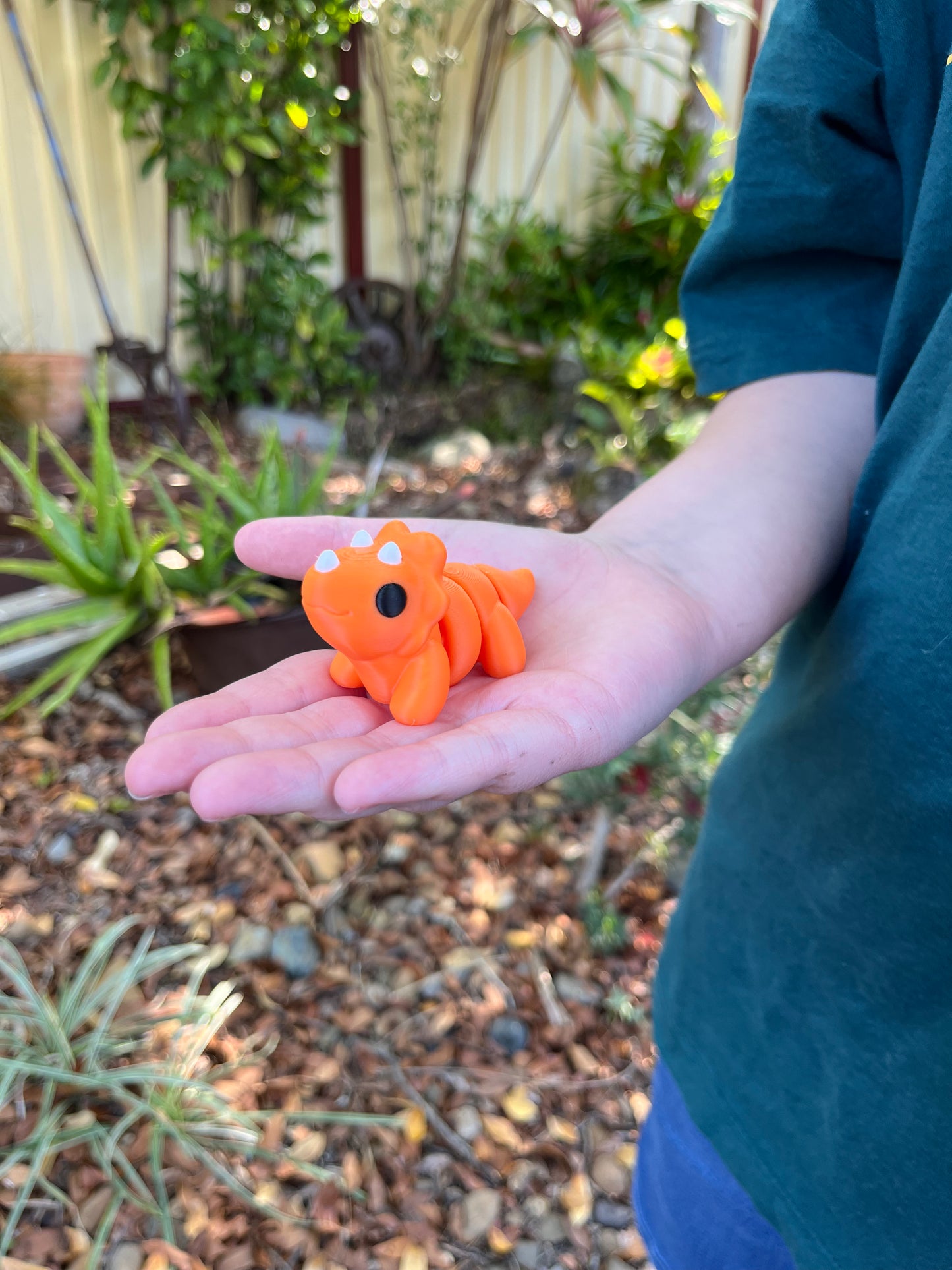 Triceratops Pocket Pal