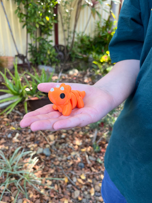 Triceratops Pocket Pal