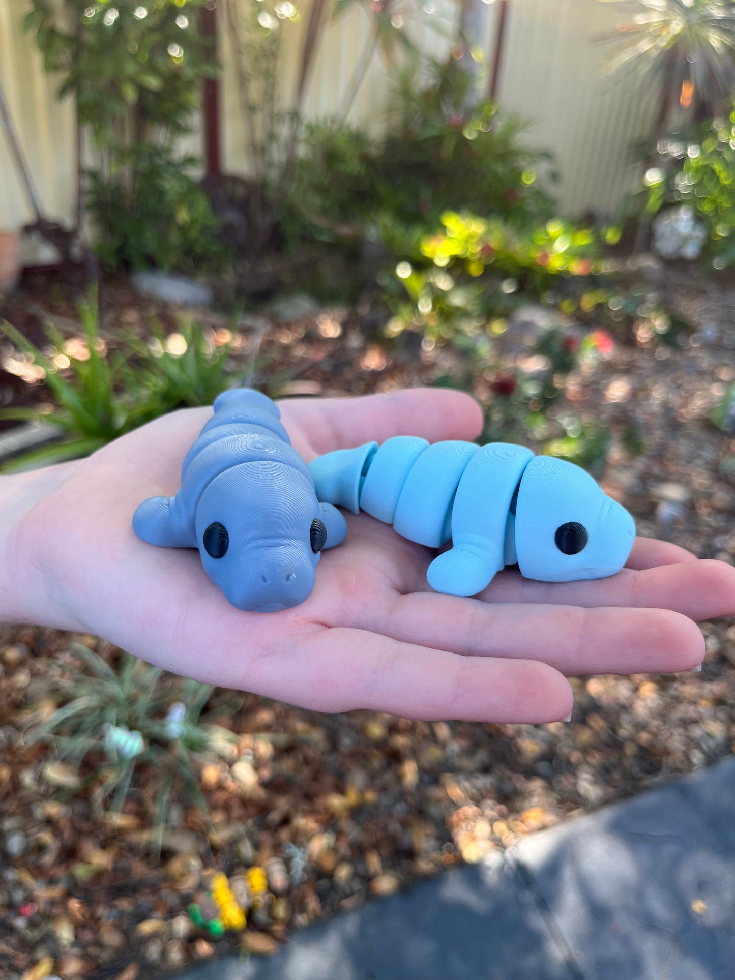 Manatee Pocket Pal
