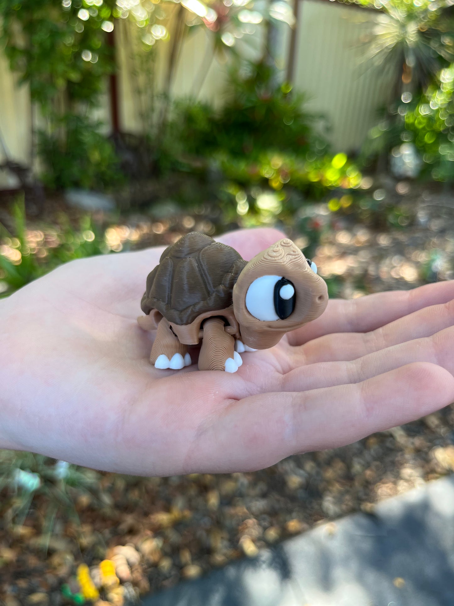 Tortoise Pocket Buddies