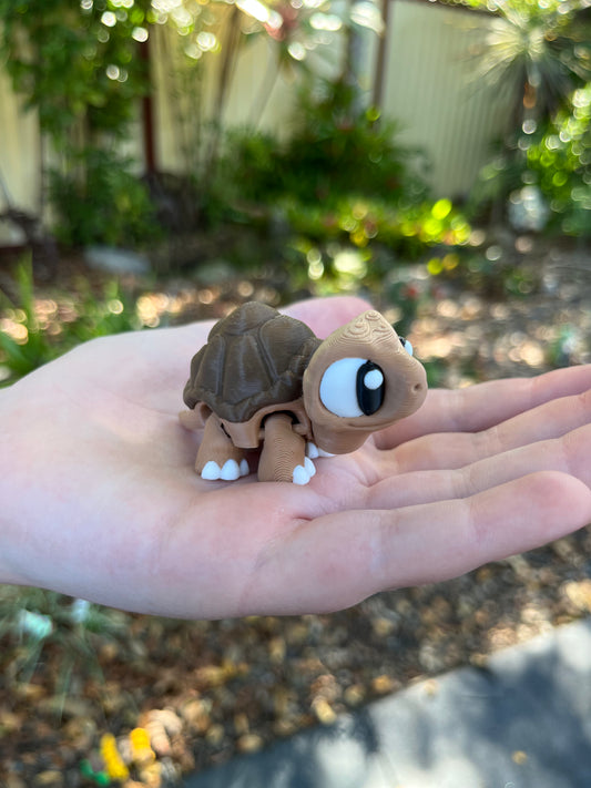 Tortoise Pocket Buddies