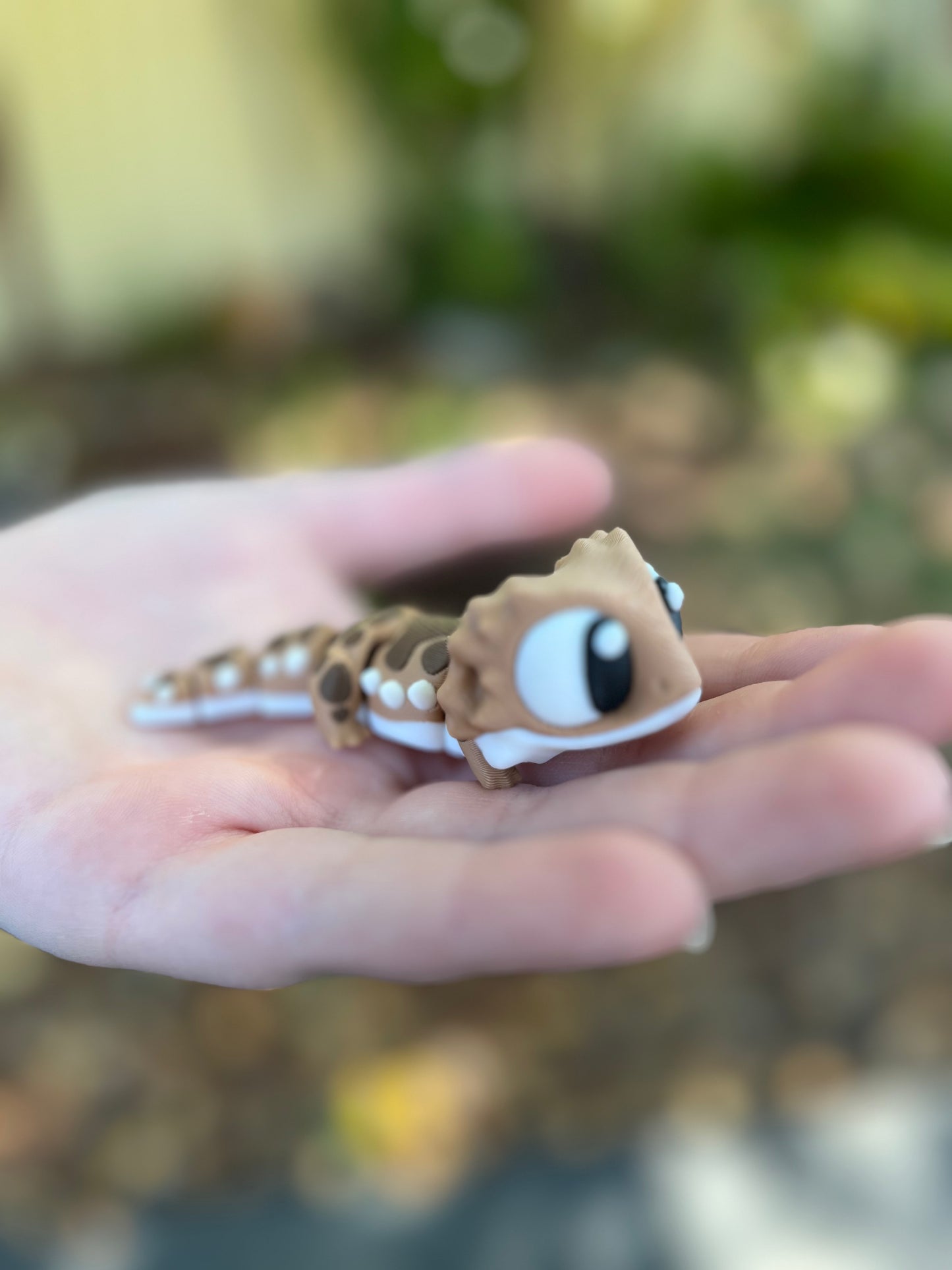 Bearded Dragon Pocket Buddies