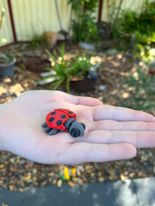 Lady Bug Mini