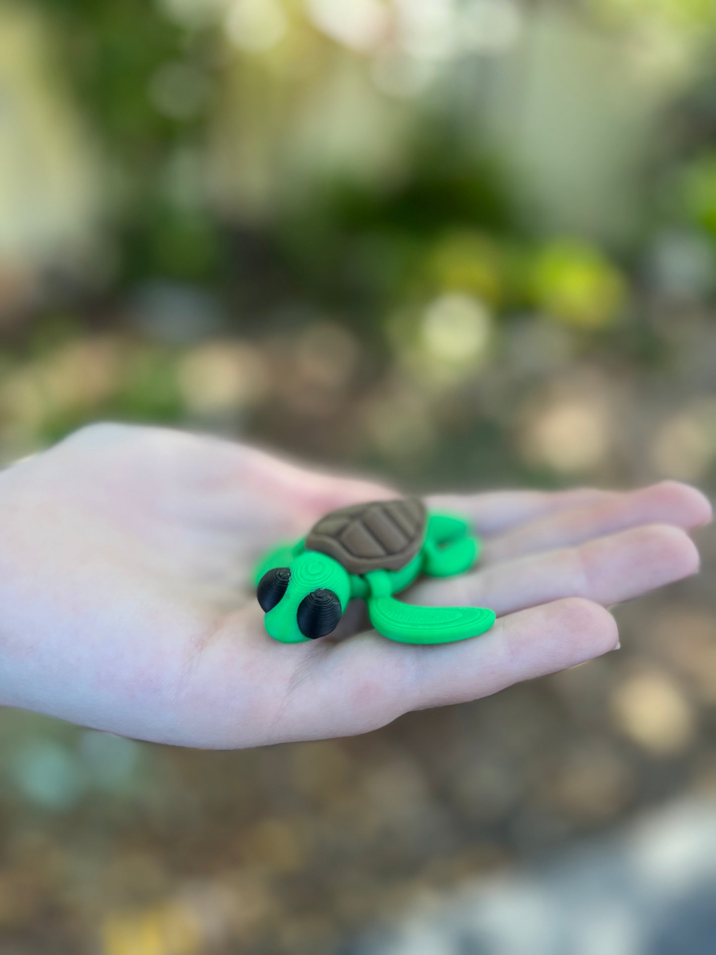 Turtle Mini