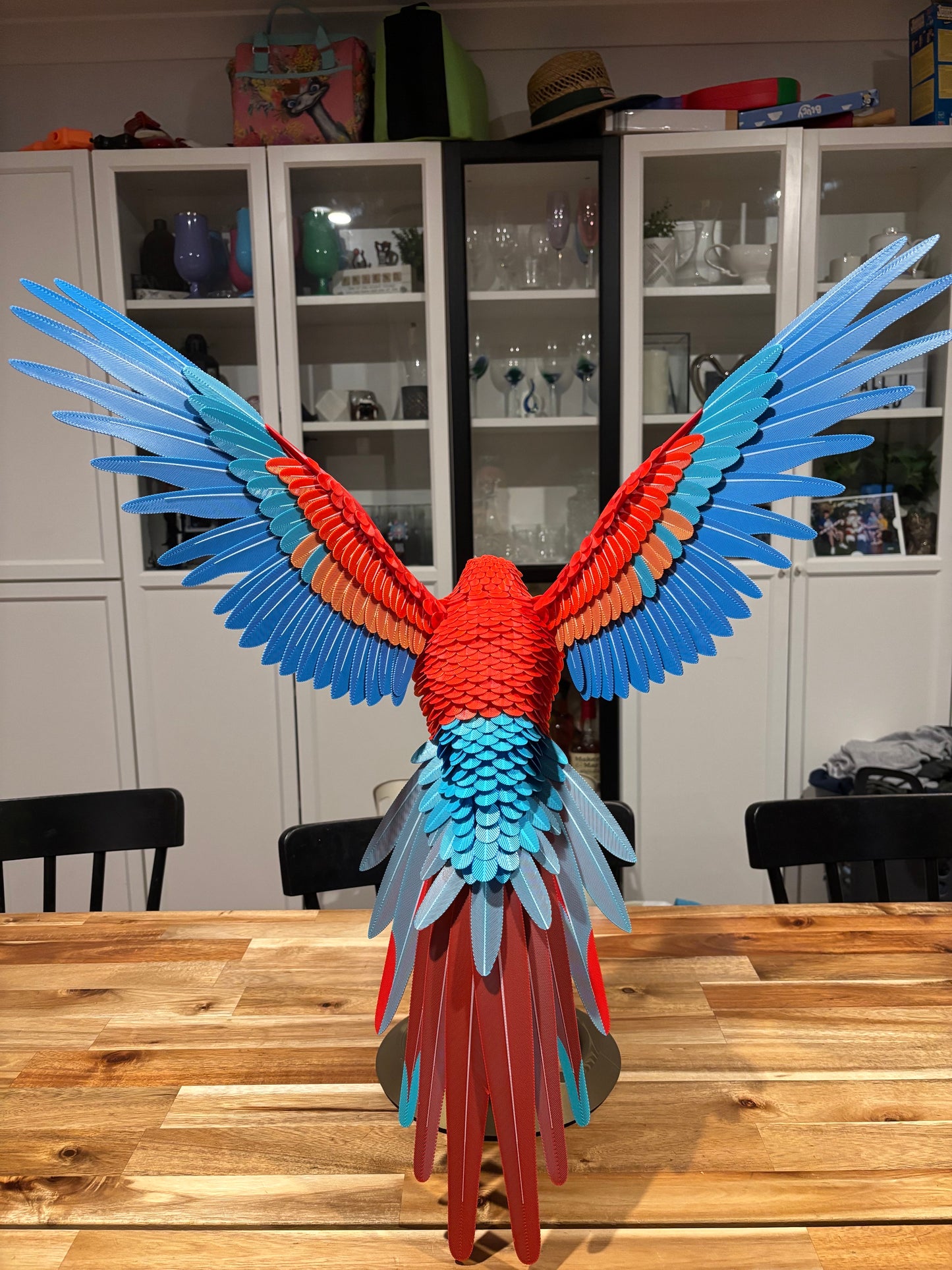 Maverick the Macaw