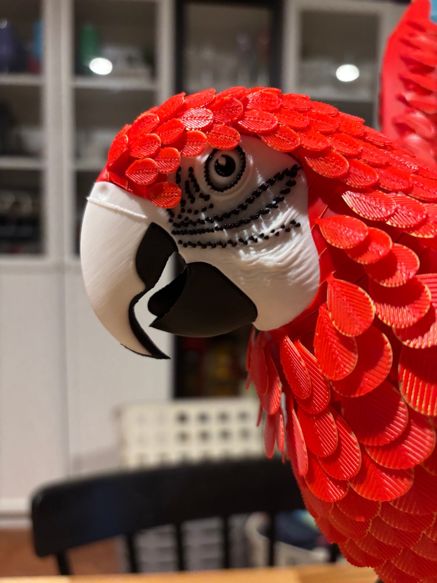 Maverick the Macaw