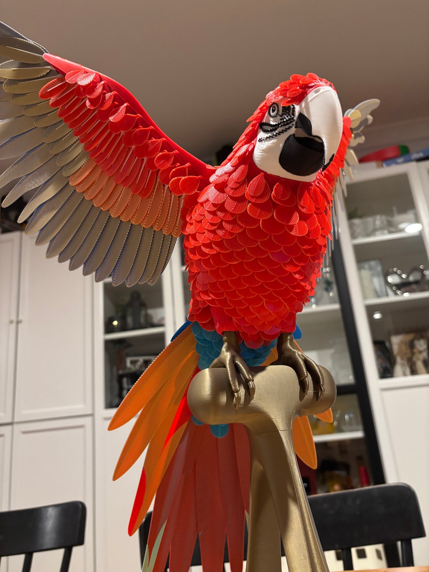 Maverick the Macaw