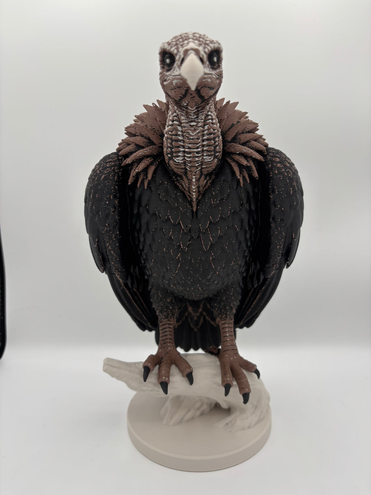The Vulture - Large