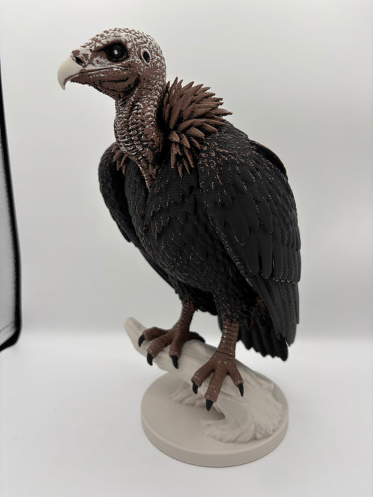 The Vulture - Large