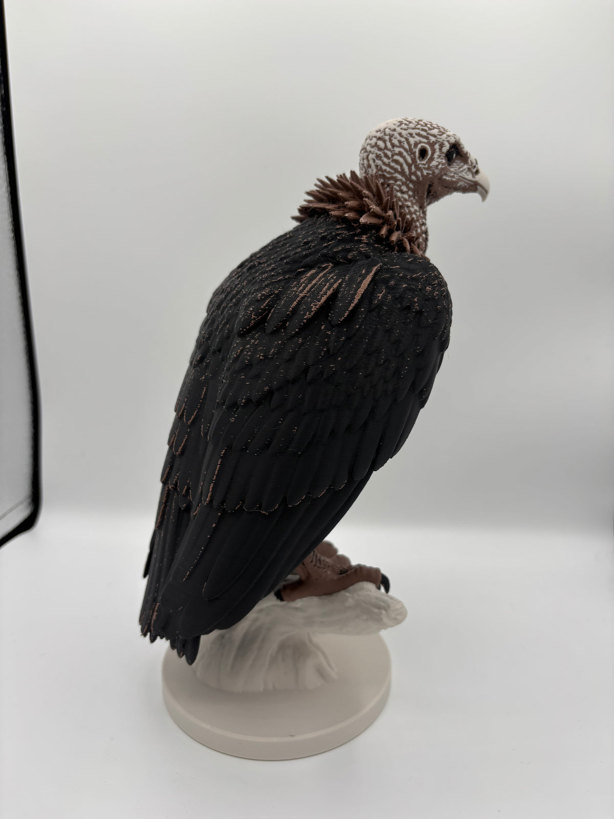 The Vulture - Large