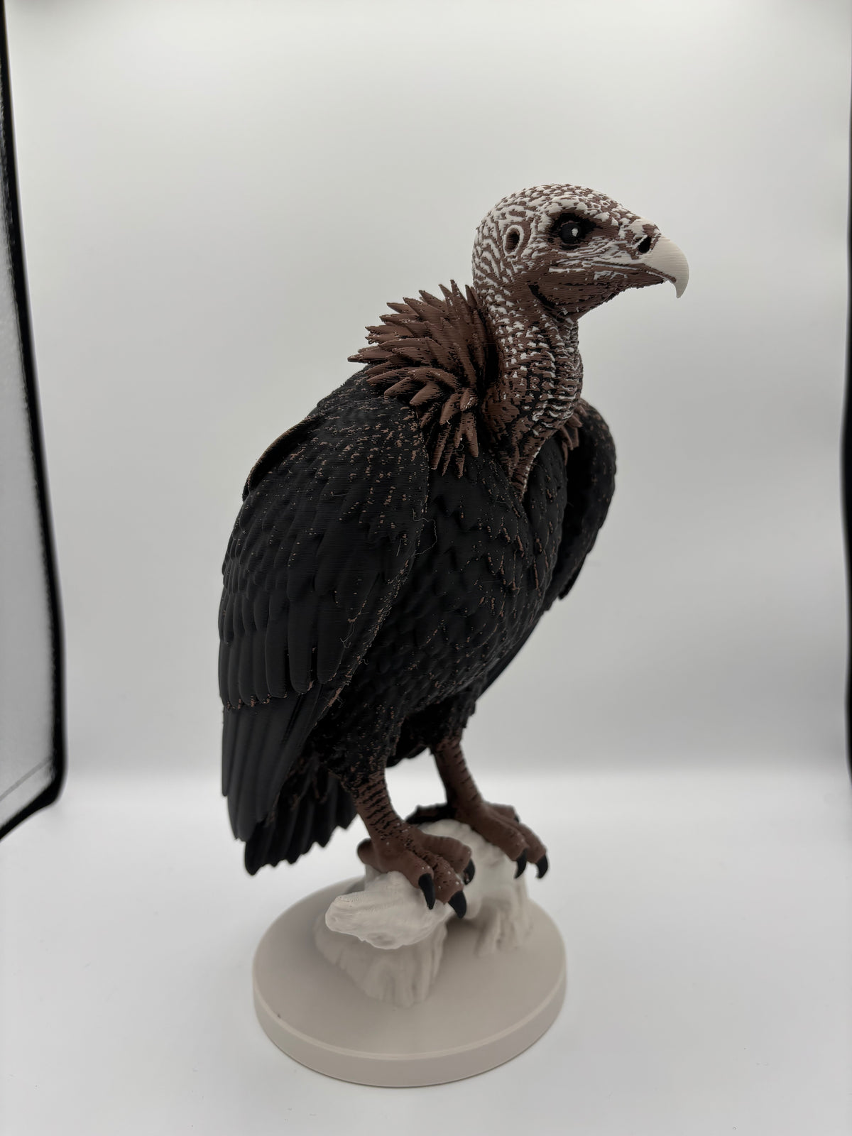 The Vulture - Large